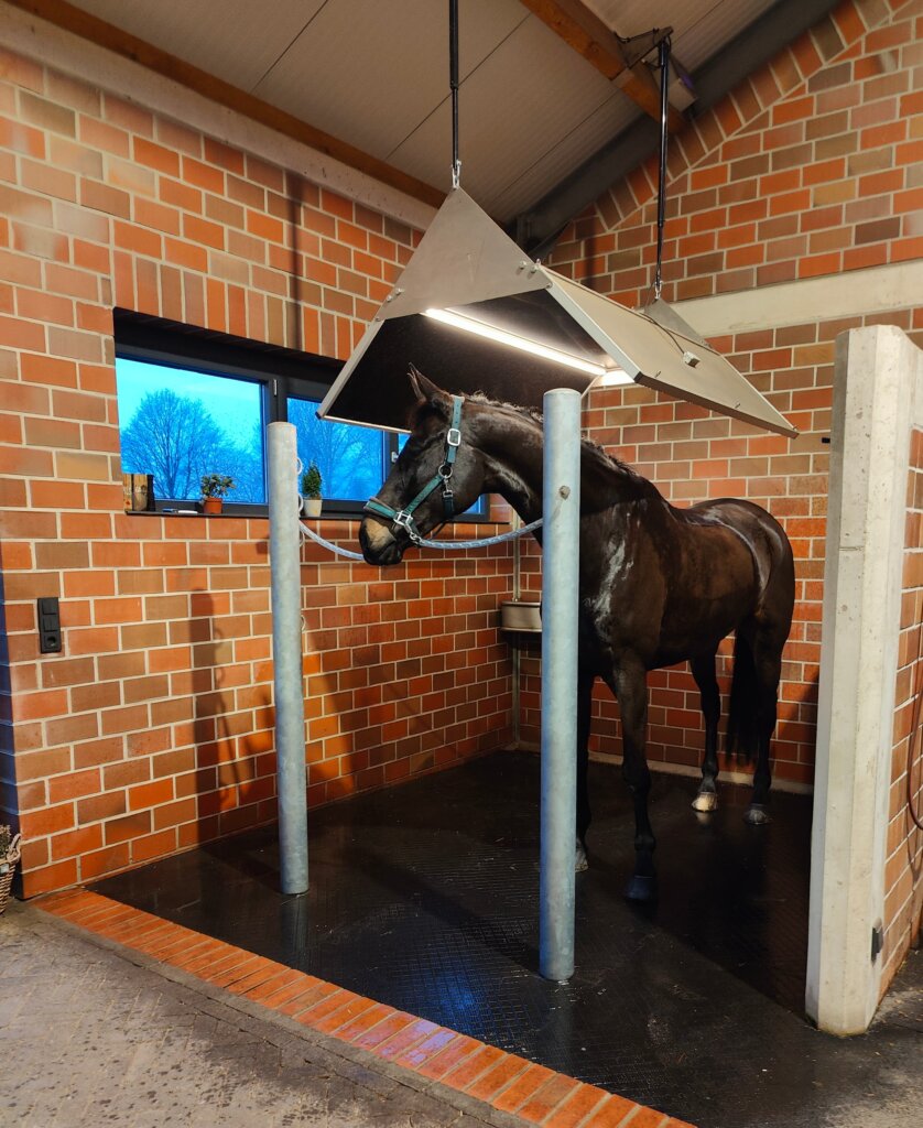 Schwarzes Pferd unter dem Photonenheizung Pferdesolarium mit Beleuchtung und Strahlungswärme