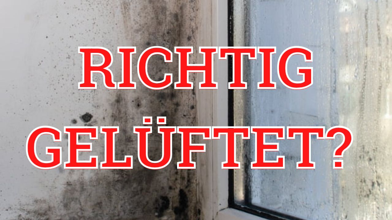 Warum richtiges Lüften Schimmel oft nicht verhindert